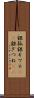 銀狐 Scroll