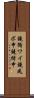 鐃循ワイ鐃夙ボ￥申鐃緒申 Scroll
