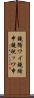 鐃循ワイ鐃緒申鐃祝ッワ申 Scroll