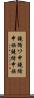 鐃循ワ申鐃緒申族 Scroll