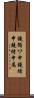 鐃循ワ申鐃緒申鐃緒申属 Scroll