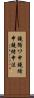 鐃循ワ申鐃緒申鐃緒申法 Scroll