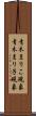 青木まりこ現象 Scroll