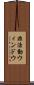 非活動ウィンドウ Scroll