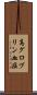 高グロブリン血症 Scroll