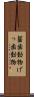 齧歯動物 Scroll
