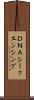 ＤＮＡシークエンシング Scroll