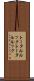 トータルルック Scroll
