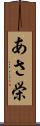 あさ栄 Scroll