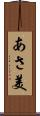 あさ美 Scroll