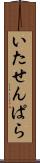 いたせんぱら Scroll
