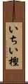 いちい樫 Scroll