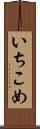 いちこめ Scroll