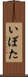いぼた Scroll