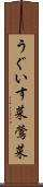 うぐいす菜 Scroll