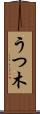 うつ木 Scroll