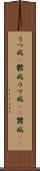 うつ病(P) Scroll