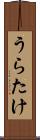 うらたけ Scroll
