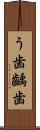 う歯 Scroll