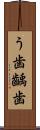 う歯;齲歯 Scroll