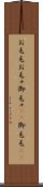 お毛毛 Scroll