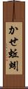 かせ蚯蚓 Scroll