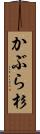 かぶら杉 Scroll