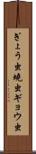 ぎょう虫 Scroll