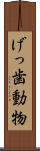 げっ歯動物 Scroll