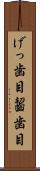 げっ歯目 Scroll