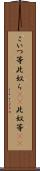こいつ等 Scroll