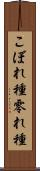 こぼれ種 Scroll