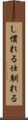 し慣れる Scroll