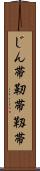 じん帯 Scroll