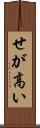 せが高い Scroll