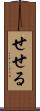 せせる Scroll