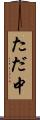 ただ中 Scroll