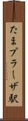 たまプラーザ駅 Scroll