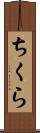 ちくら Scroll