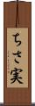 ちさ実 Scroll
