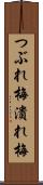 つぶれ梅 Scroll