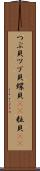 つぶ貝 Scroll