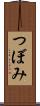 つぼみ Scroll