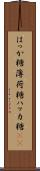 はっか糖 Scroll