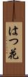 はつ花 Scroll