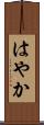 はやか Scroll