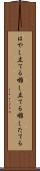はやし立てる Scroll