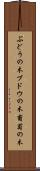 ぶどうの木 Scroll