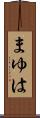 まゆは Scroll