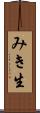 みき生 Scroll